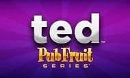 Ted Pub Fruits Series slot