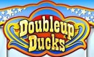 Doubleup Ducks slot
