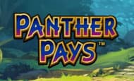 Panther Pays slot